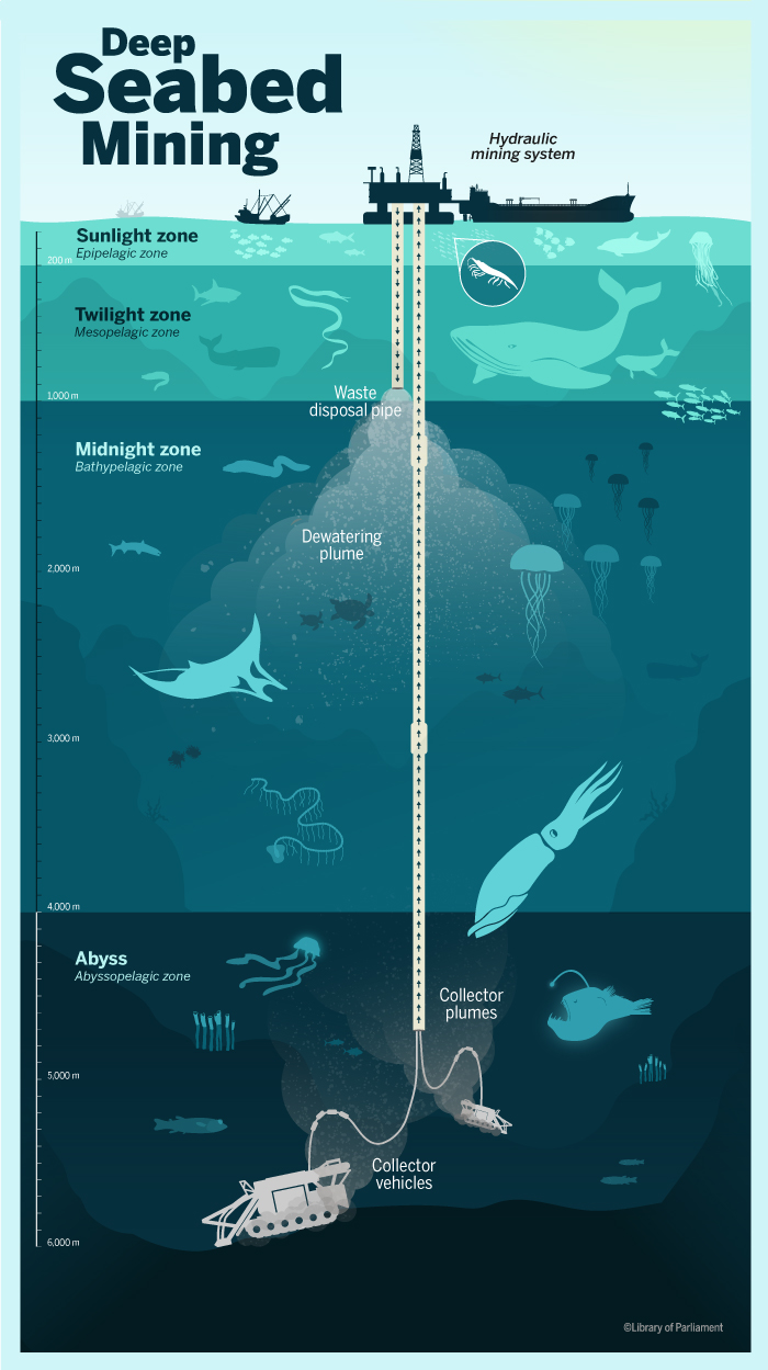 Into the Depths: International Law and Deep Seabed Mining - HillNotes